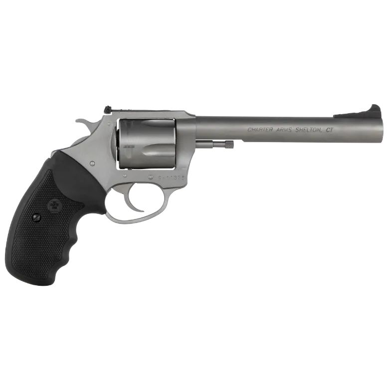Charter Arms Bulldog Target 44 Special 5 Rd 6"SS Revolver