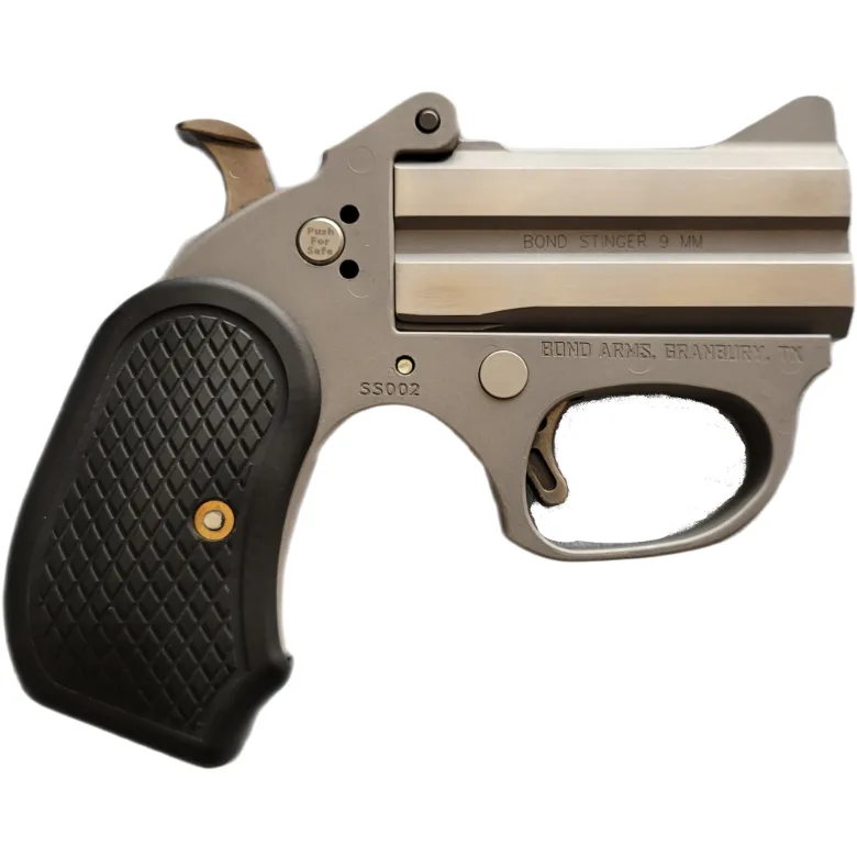 Bond Arms Honey-B Rough Stainless .380 ACP Derringer 3"
