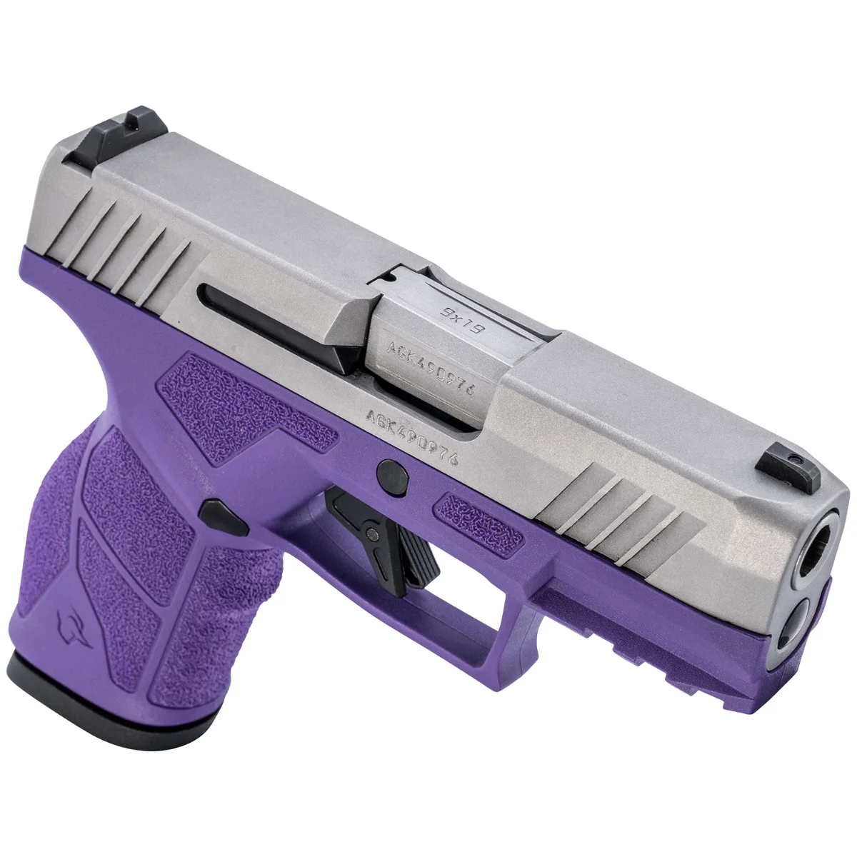 Taurus GX2 Dark Purple Frame/Stainless Slide 9mm Luger 10rd Pistol