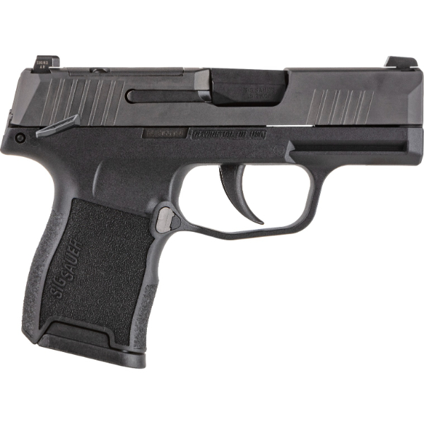 Sig Sauer P365 380ACP Ms 10Rd Pistol