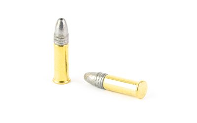 Federal Champion 22LR 36gr LHP 525-Round Value Pack Rimfire Ammo