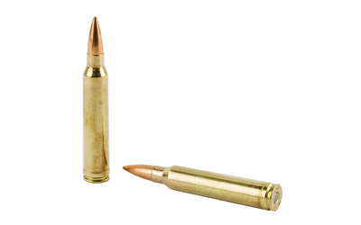 BARNES PREC MTH 300WIN 220GR 20/200