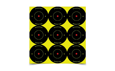 Birchwood Casey AR5-12 Shoot-N-C Reactive Target