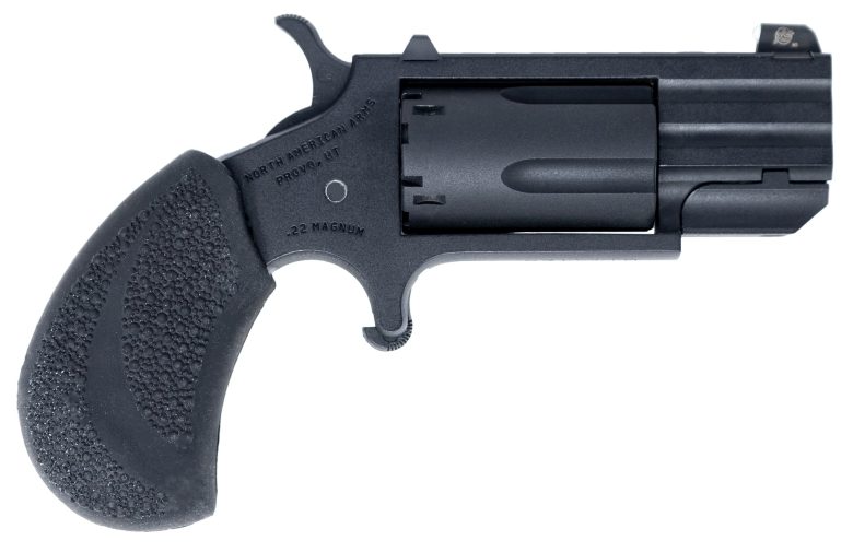 NAA Pug Shadow 22lr-22m Black Pistol
