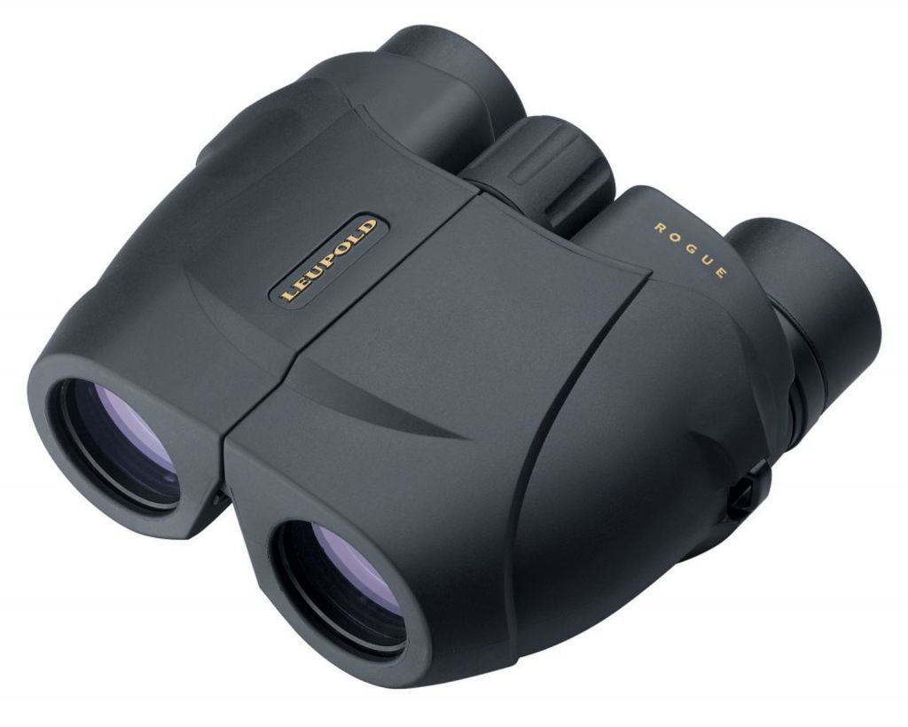 Leupold BX-1 Rogue 10x25mm Binocular
