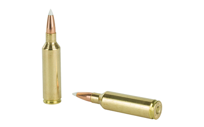NOSLER 270WSM 140GR AB 20/200