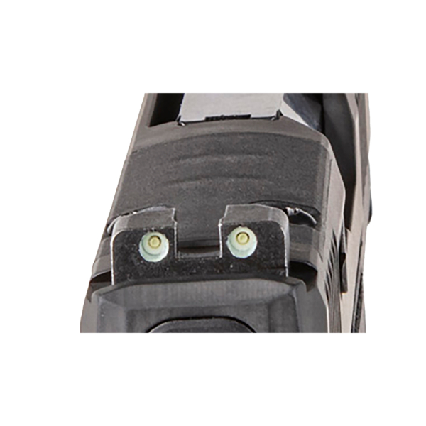 Sig Sauer P365 380ACP Ms 10Rd Pistol