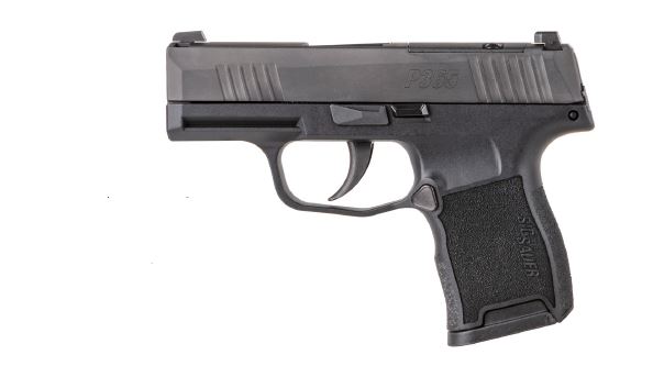 Sig Sauer P365 380ACP 10 Rd NS Pistol